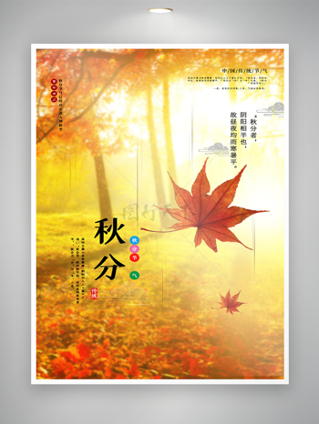 中国传统节气秋分宣传海报