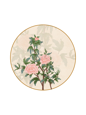 中国风牡丹花仿工笔画复古中式花卉植物