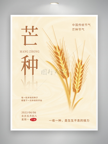中国传统节气芒种节气宣传海报