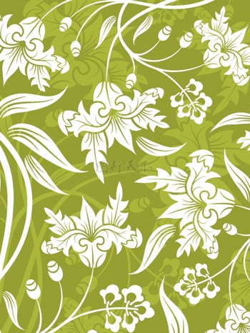 传统 欧式俄式花卉底图底纹  图案背景贴图 绿底白色大花
