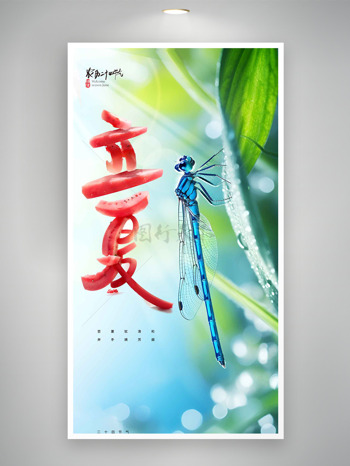 蓝色蜻蜓插画清新柔光背景立夏时节海报