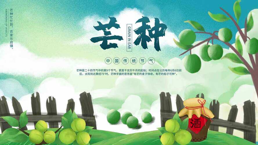 清新简约背景青梅插画芒种节气海报