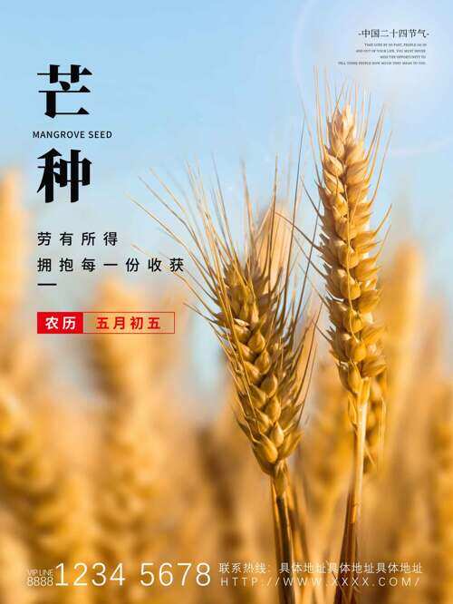 田园风光金色麦穗传统二十四节气芒种海报